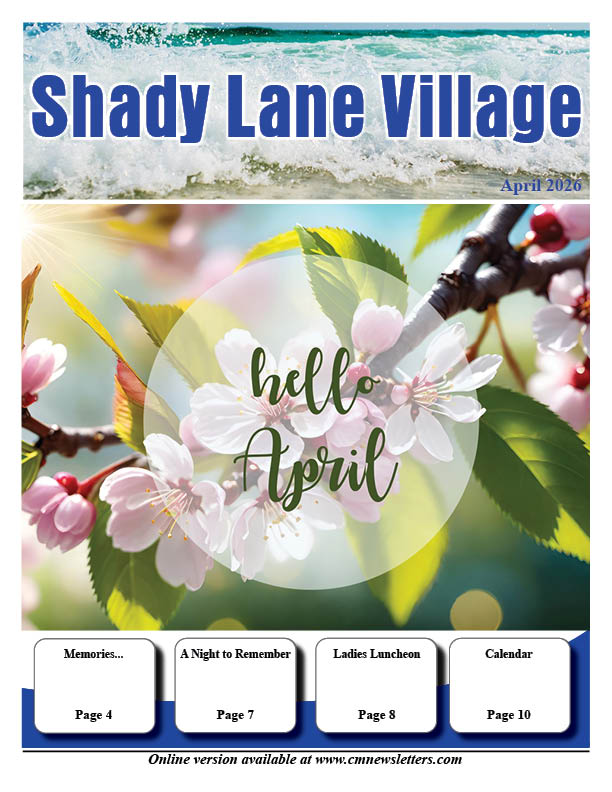 Shady Lane Village